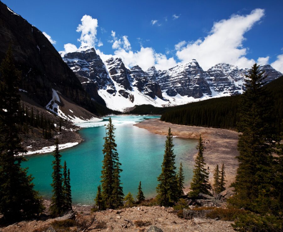 5 Reasons Tourists Fall in Love with Banff’s Dining Scene